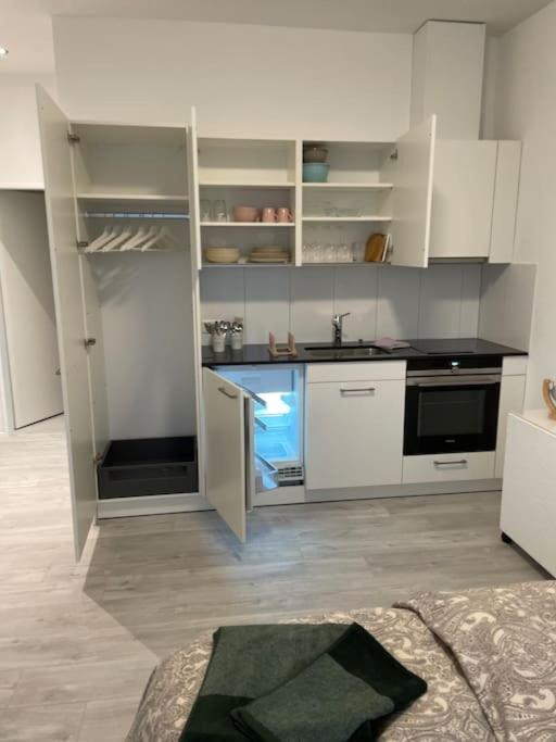 Studio In Neuem Efh Elsau Zewnętrze zdjęcie