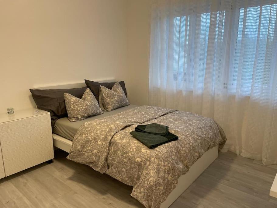 Studio In Neuem Efh Elsau Zewnętrze zdjęcie